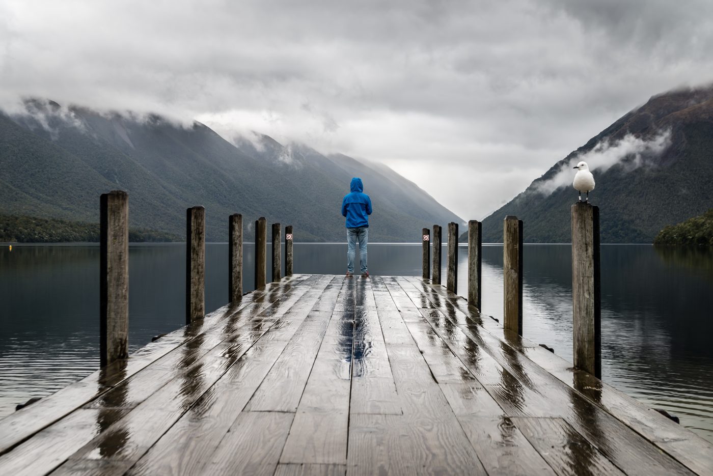 Person stood on a wet wooden pier looking out over a lake